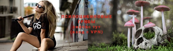 тгк Балахна