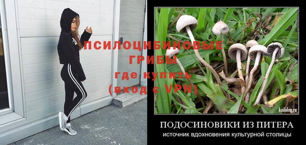 тгк Балахна