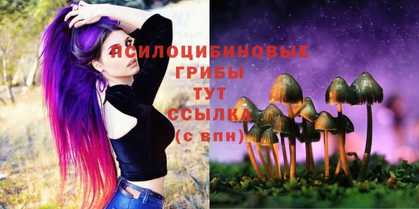 тгк Балабаново