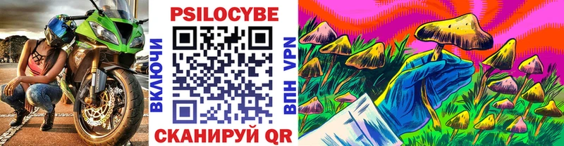 Псилоцибиновые грибы Psilocybe  Сатка 
